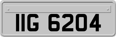 IIG6204