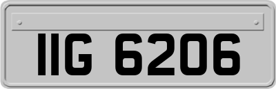 IIG6206