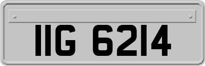 IIG6214