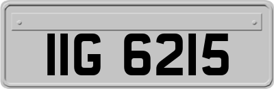 IIG6215