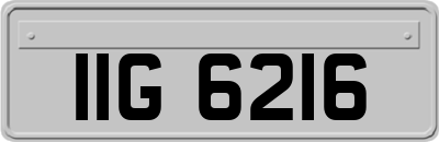 IIG6216