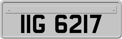 IIG6217