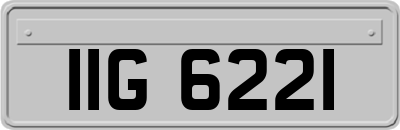 IIG6221