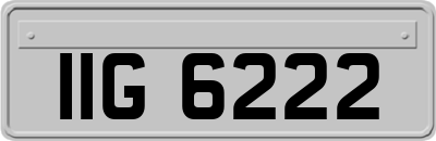 IIG6222