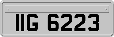 IIG6223