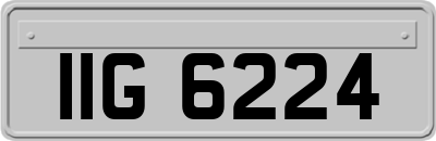 IIG6224