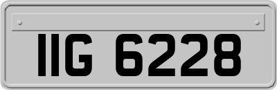 IIG6228