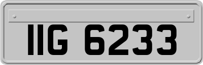 IIG6233