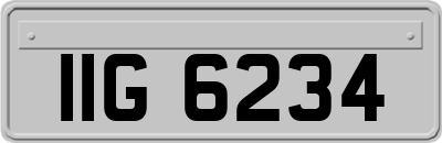 IIG6234