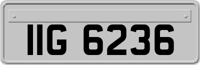 IIG6236