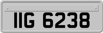 IIG6238
