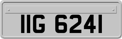 IIG6241