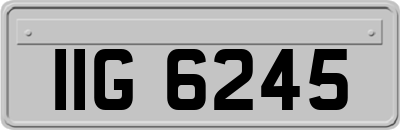IIG6245