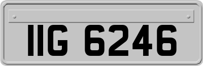 IIG6246