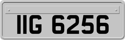 IIG6256