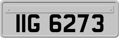 IIG6273