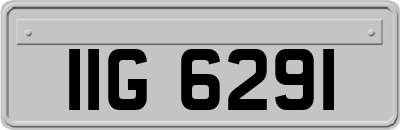 IIG6291