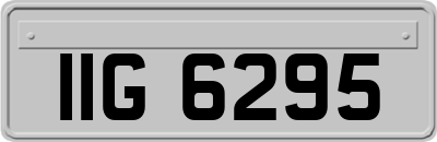 IIG6295