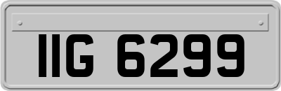IIG6299