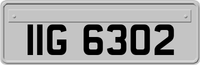 IIG6302