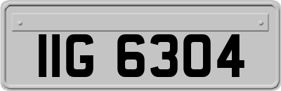 IIG6304
