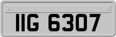 IIG6307