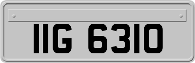 IIG6310