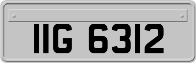 IIG6312