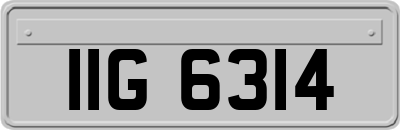 IIG6314