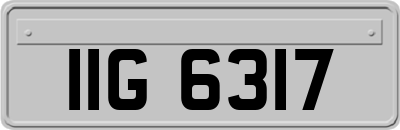 IIG6317