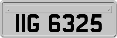 IIG6325