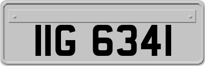 IIG6341