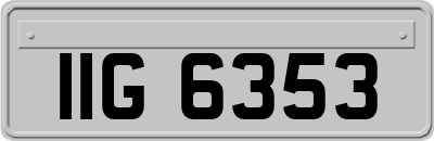 IIG6353
