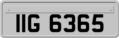 IIG6365