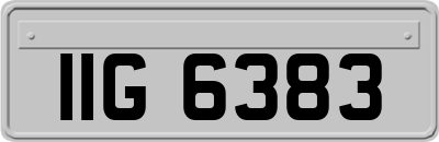 IIG6383