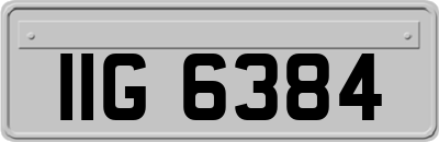 IIG6384