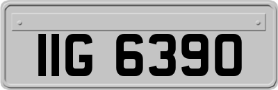 IIG6390