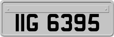 IIG6395