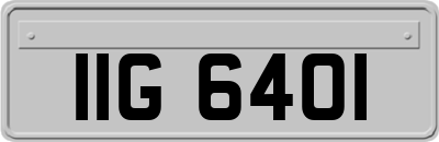 IIG6401