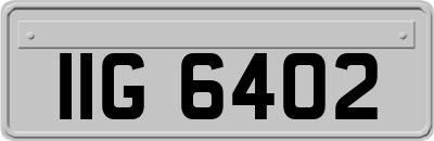 IIG6402