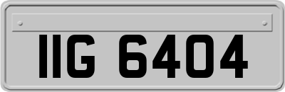 IIG6404