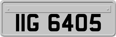 IIG6405