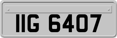 IIG6407