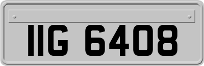 IIG6408