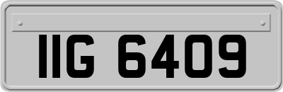 IIG6409
