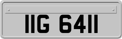IIG6411