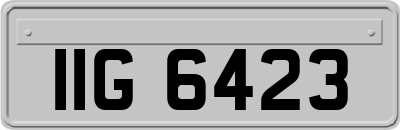 IIG6423