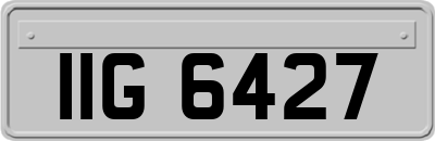 IIG6427