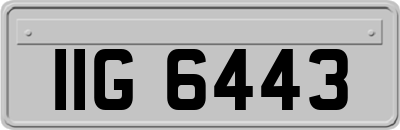 IIG6443