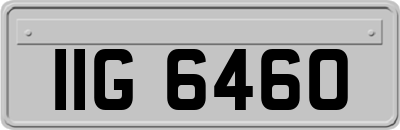 IIG6460